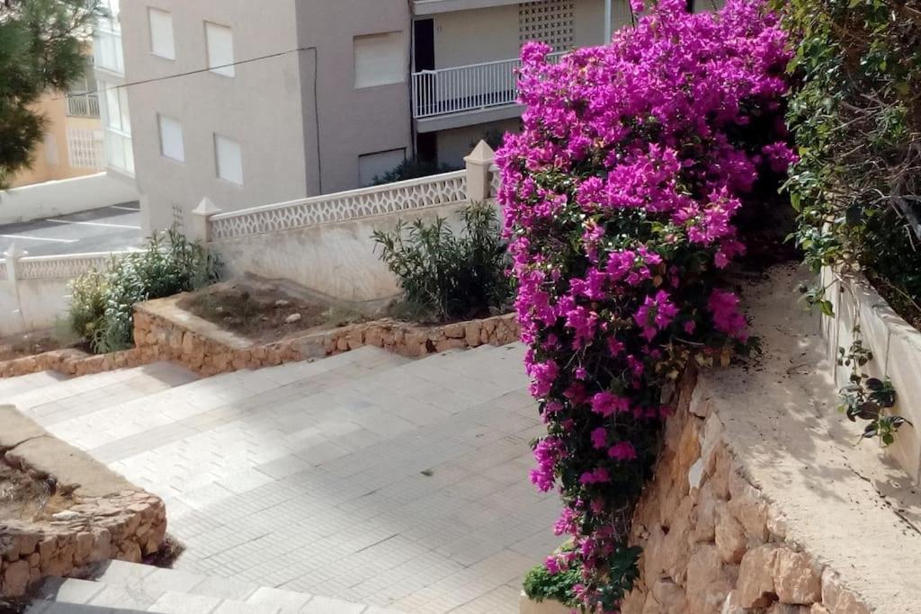 Wendy Y Antonio.Alicante- Santa Pola- Piscina/Playa 外观 照片